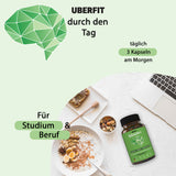 BRAIN+ Komplex mit Vitamin B5 für die geistige Leistung