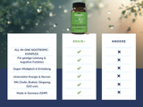 BRAIN+ Komplex mit Vitamin B5 für die geistige Leistung